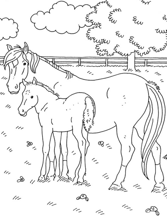 Cute Shetland Pony Coloring Page Free Printable Coloring Pages